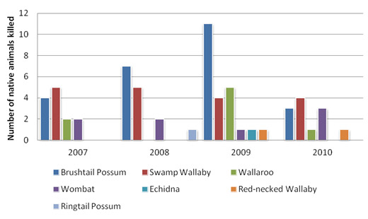 Native fauna reported killed on ACT roads, 2007-2011 (excluding kangaroos)
