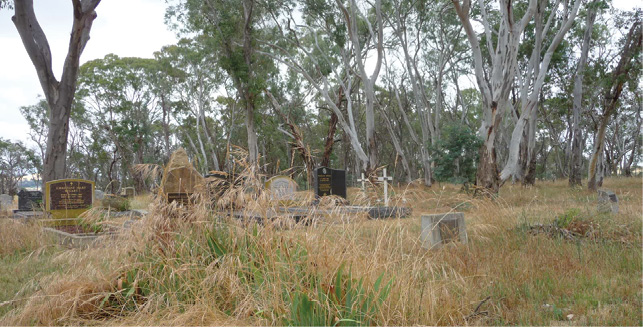 Gravestones in bushland