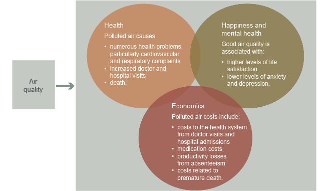 The diagram shows that air quality affects human wellbeing. In terms of health, polluted air causes: numerous health problems, particularly cardiovascular and respiratory complaints, increased doctor and hospital visits, death. In terms of happiness and mental health, good air quality is associated with: higher levels of life satisfaction, lower levels of anxiety and depression. In terms of economics, polluted air costs include: costs to the health system from doctor visit and hospital admissions, medication costs, productivity losses from absenteeism costs related to premature death.