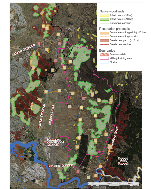 The map shows lowland woodland condition and connection across the Majura valley, and shows where intact patches of woodland could be enhanced or new patches created to improve connectivity.