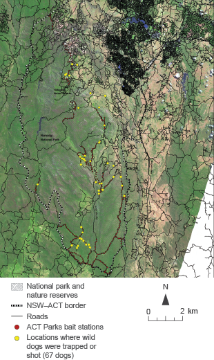The map shows that in 2010–11 wild dogs were baited, trapped or shot at a number of locations in the ACT, mainly in the south of the ACT in Namadgi National Park.
