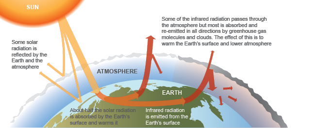 The ‘greenhouse effect’ keeps Earth’s surface and lower atmosphere considerably warmer than they would otherwise be. The diagram shows that some of the infrared radiation coming from the sun passes through the atmosphere but most is absorbed and re-emitted in all directions by greenhouse gas molecules and clouds. The effect of this is to warm the Earth’s surface and the lower atmosphere. About half the solar radiation is absorbed by the Earth’s surface and warms it.