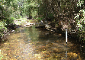A creek running through bushland is flowing slowly with clear water.