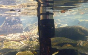 A measuring instrument is under the surface of clear shallow water, resting on mossy stones.
