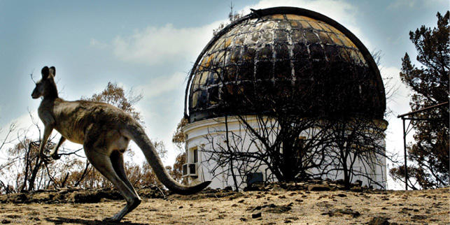 A large grey kangaroo is bounding past the burnt wreck of an astronomical observatory. The ground is scorched and bushes are burnt.