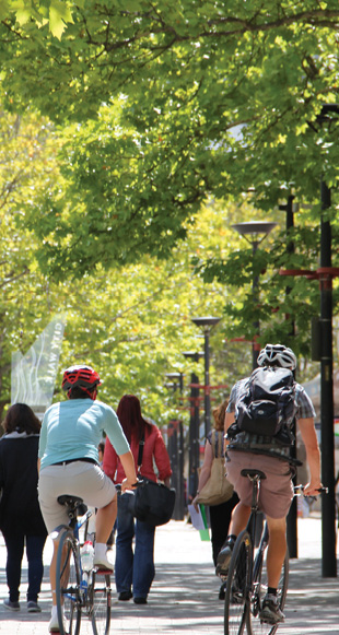 Cyclists riding in the city