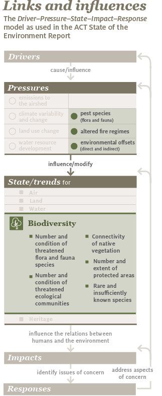 The infographic shows the Drivers, Pressures, State and trends, Impacts and Responses (DPSIR) model around which the report is built. It shows that pressures for the biodiversity theme are pest species, altered fire regimes and environment offsets, and that the state and trends for biodiversity are measured in terms of number and condition of threatened flora and fauna species, number and condition of threatened ecological communities, connectivity and native vegetation, number and extent of protected areas, and rare and insufficiently known species.