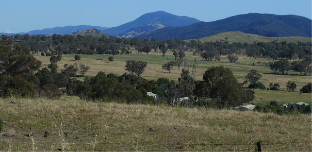 A landscape of grassy paddocks with scattered trees, a few rural buildings, and forested hills in the background.