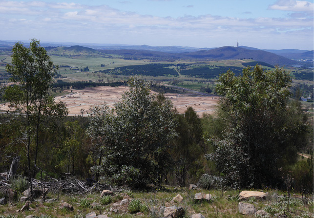 A view from a wooded hillside east towards Black Mountain shows an area of cleared bare earth with paved roads.