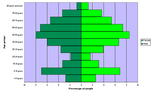Figure 2. Age and sex distribution, Bega Valley Shire, 2006