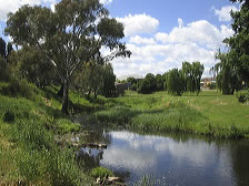 Booroowa River, just W of Jubilee Bridge, Booroowa, showing recent tree plantings as part of Greening Australia’s national River Recovery Program (article in Canberra Times, 13 Nov 2005 scanned) 