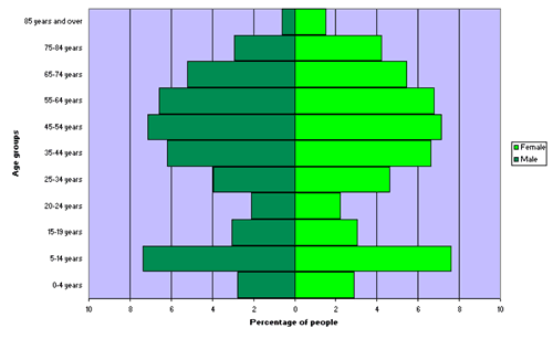 Figure 2. Age and sex distribution, Cootamundra Shire, 2006 
