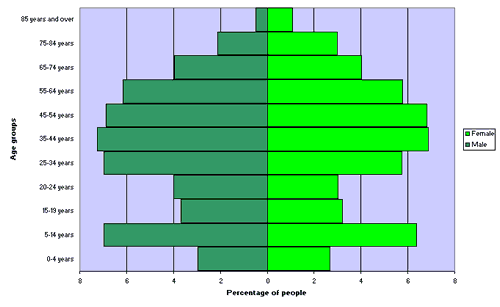 Figure 2. Age and sex distribution, Goulburn Mulwaree Council area, 2006