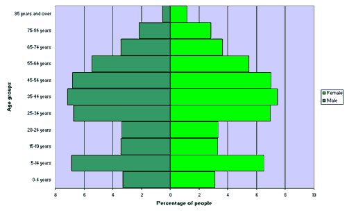 Figure 3. Age and sex distribution, New South Wales, 2006 