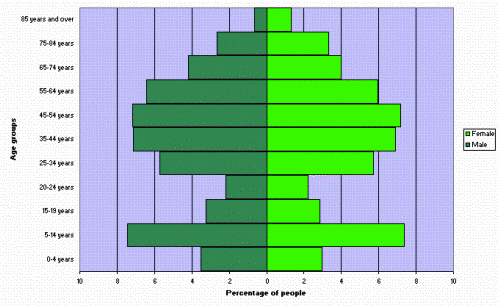 Figure 3. Age and sex distribution, NSW, 2006