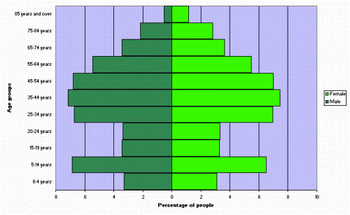 Figure 2. Age and sex distribution, Young Shire, 2006