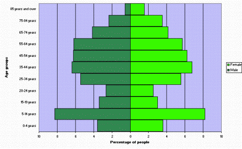 Figure 3. Age and sex distribution, NSW, 2006 