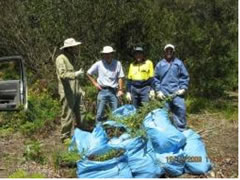The team and their haul Photo: Bega Valley Shire Council