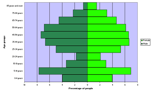 Figure 2. Age and sex distribution, Gundagai Shire, 2006