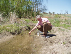 Harden Murrumburrah Landcare member Mal Hufton water testing at Jugiong Creek Photo: Murrumbidgee CMA