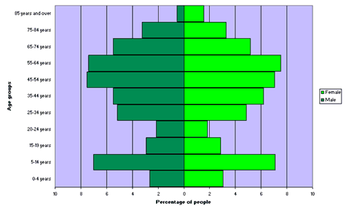 Figure 2. Age and sex distribution, Harden Shire, 2006