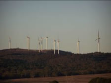 Capital Wind Farm turbines Photo: Palerang Shire Council