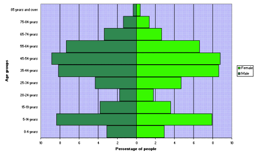 Figure 2. Age and sex distribution, Palerang Council area, 2006