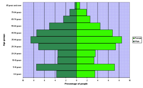 Figure 2. Age and sex distribution, Queanbeyan City Council Area, 2006 
