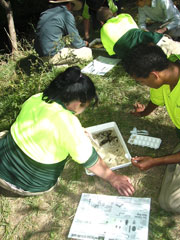 The team learn how to conduct an aquatic invertebrate study 