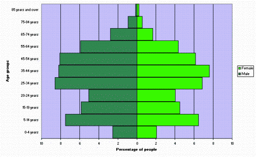 Figure 3. Age and sex distribution, NSW, 2006 