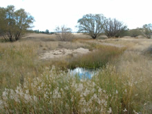 Upper Lachlan environment