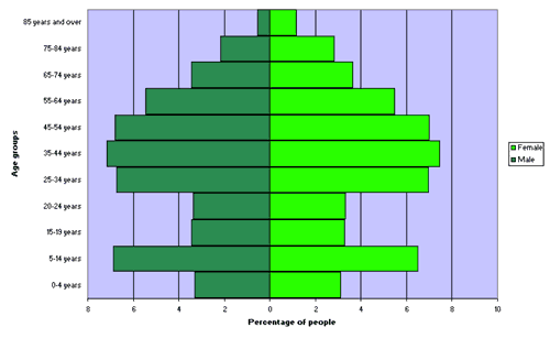 Figure 3. Age and sex distribution, New South Wales, 2006 