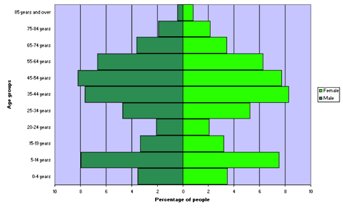 Figure 2. Age and sex distribution, Yass Valley Local Government Area, 2006 