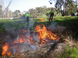 The Sustainable Landscapes Group learning how to do a control burn off at Balgalal Creek, Binalong 